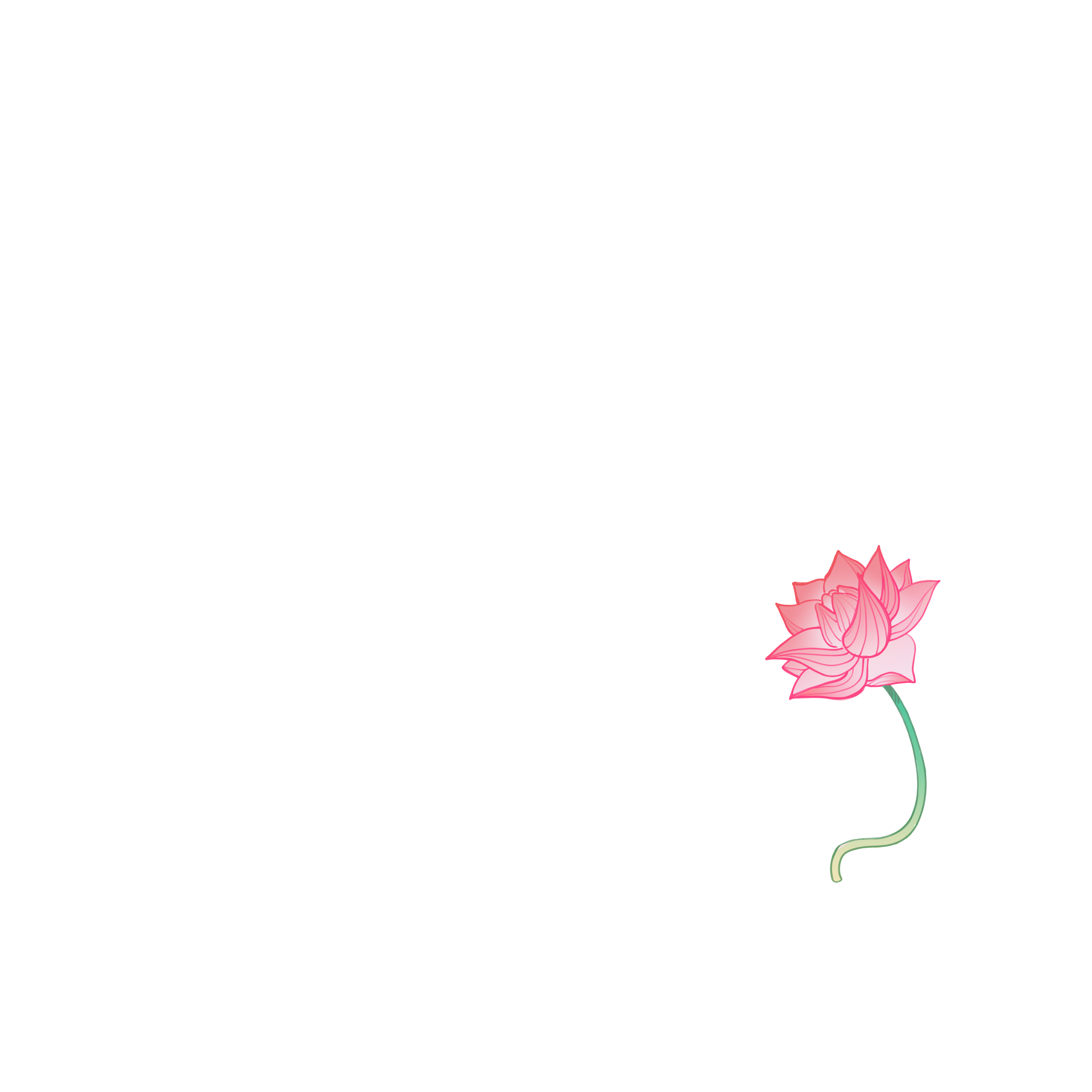 Decorative Blooming Lotus Flower